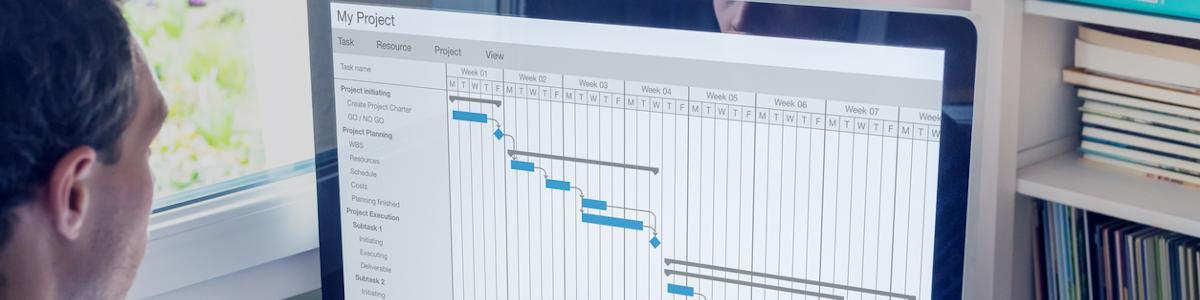 Project manager looking at timelines for a project on his computer